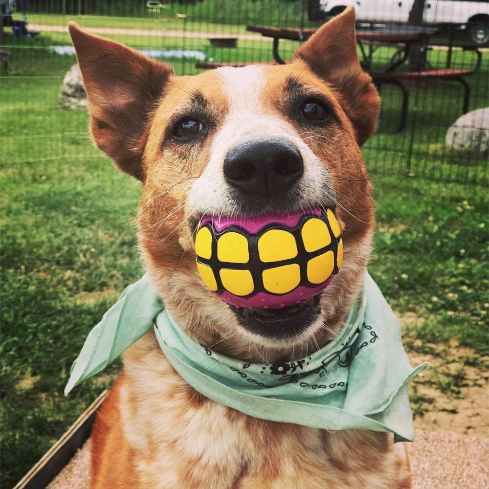 Dawg Grillz balle flottant sécurise jeux aquatiques