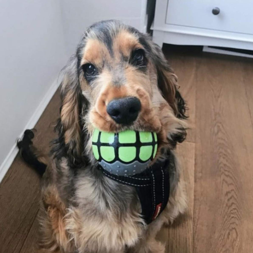 Dawg Grillz comparaison taille main illustre diamètre adapté