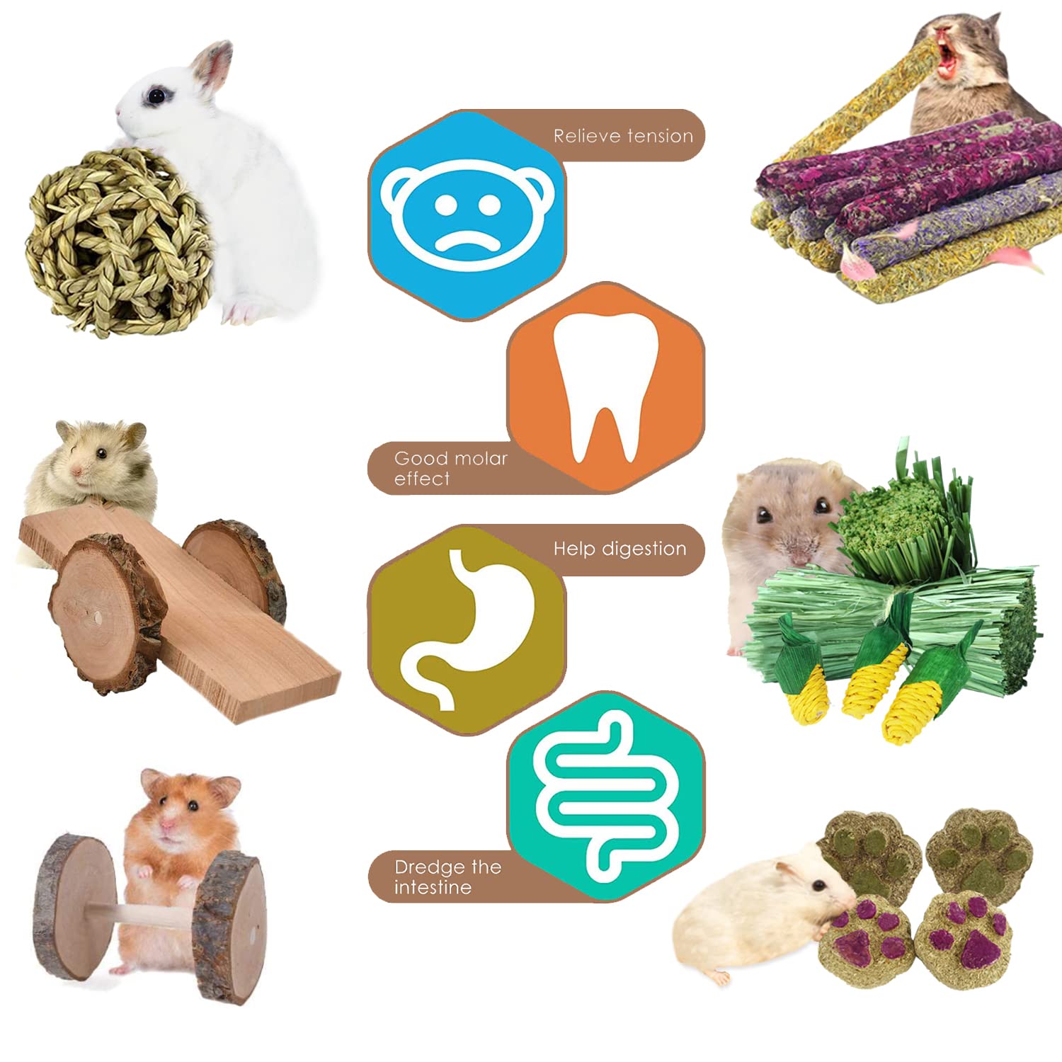 Dbeans Flourithing jouet en action cochon d'Inde encourage exercice et dents saines