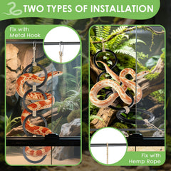 DBNESS anneaux installés dans terrarium pour enrichissement visible