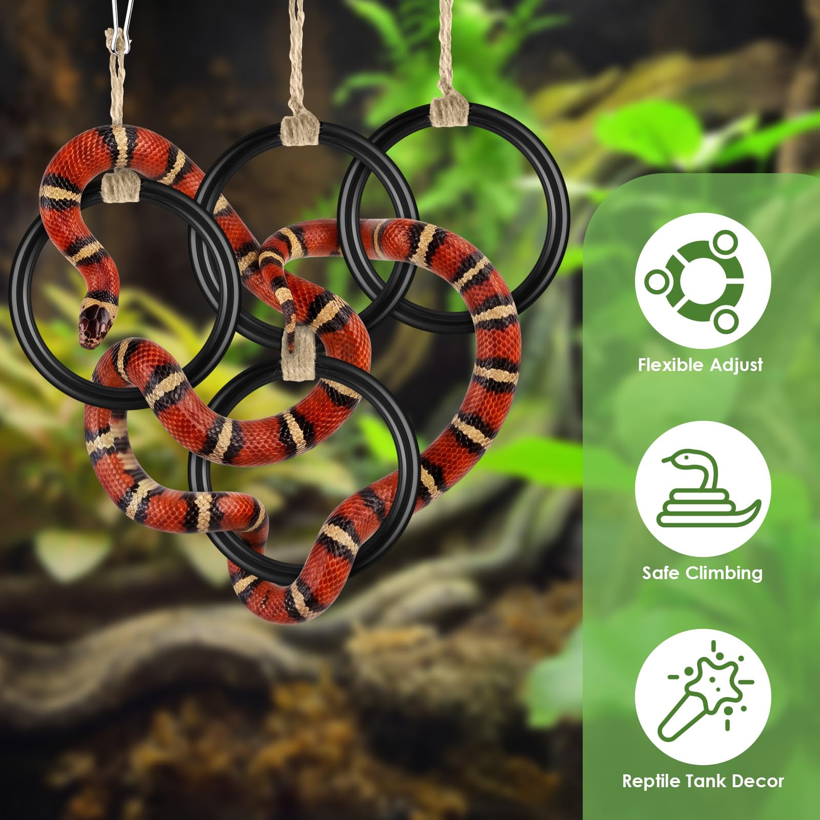 DBNESS configuration spirale exploitant l'espace vertical du terrarium