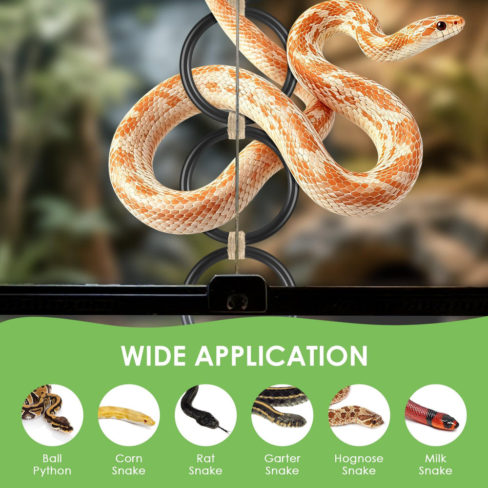 DBNESS serpent enroulé sur anneaux montrant confort et stimulation