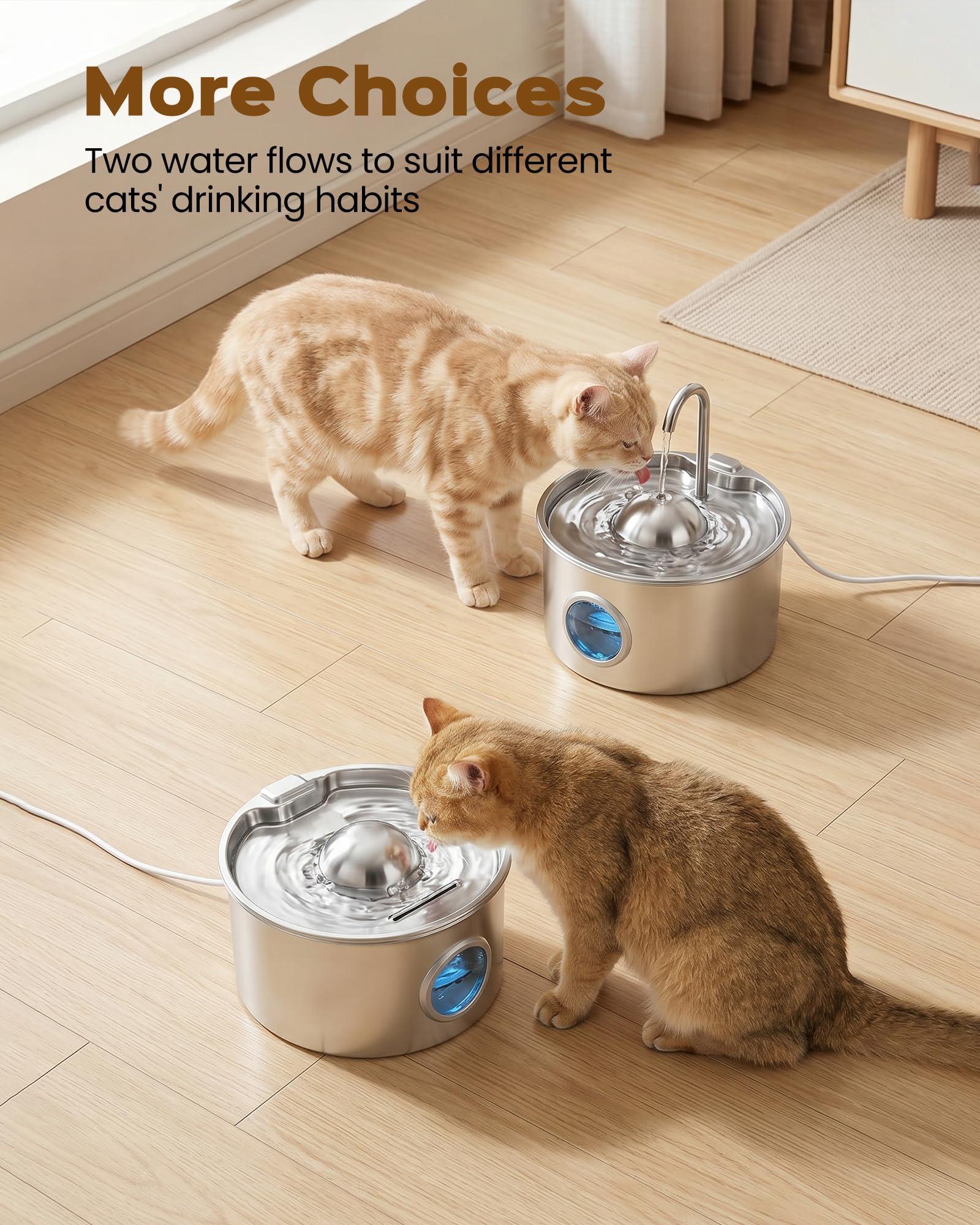 Dctrod fontaine en usage par un chat, hydratation confortable et naturelle