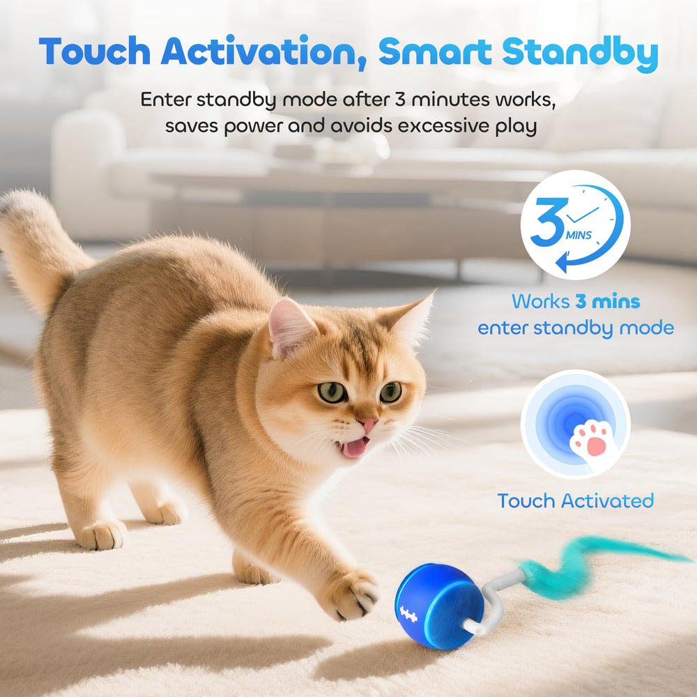 ddxcoo balle en usage sur tapis, roule sans s’enliser et divertit