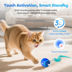 ddxcoo balle en usage sur tapis, roule sans s’enliser et divertit