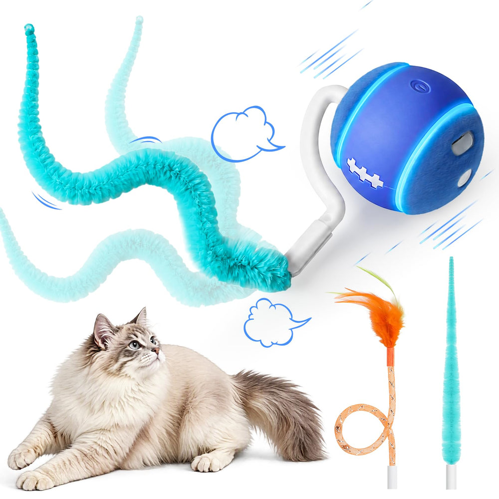 ddxcoo balle face avant montrant la forme et l'ouverture, attire le chat