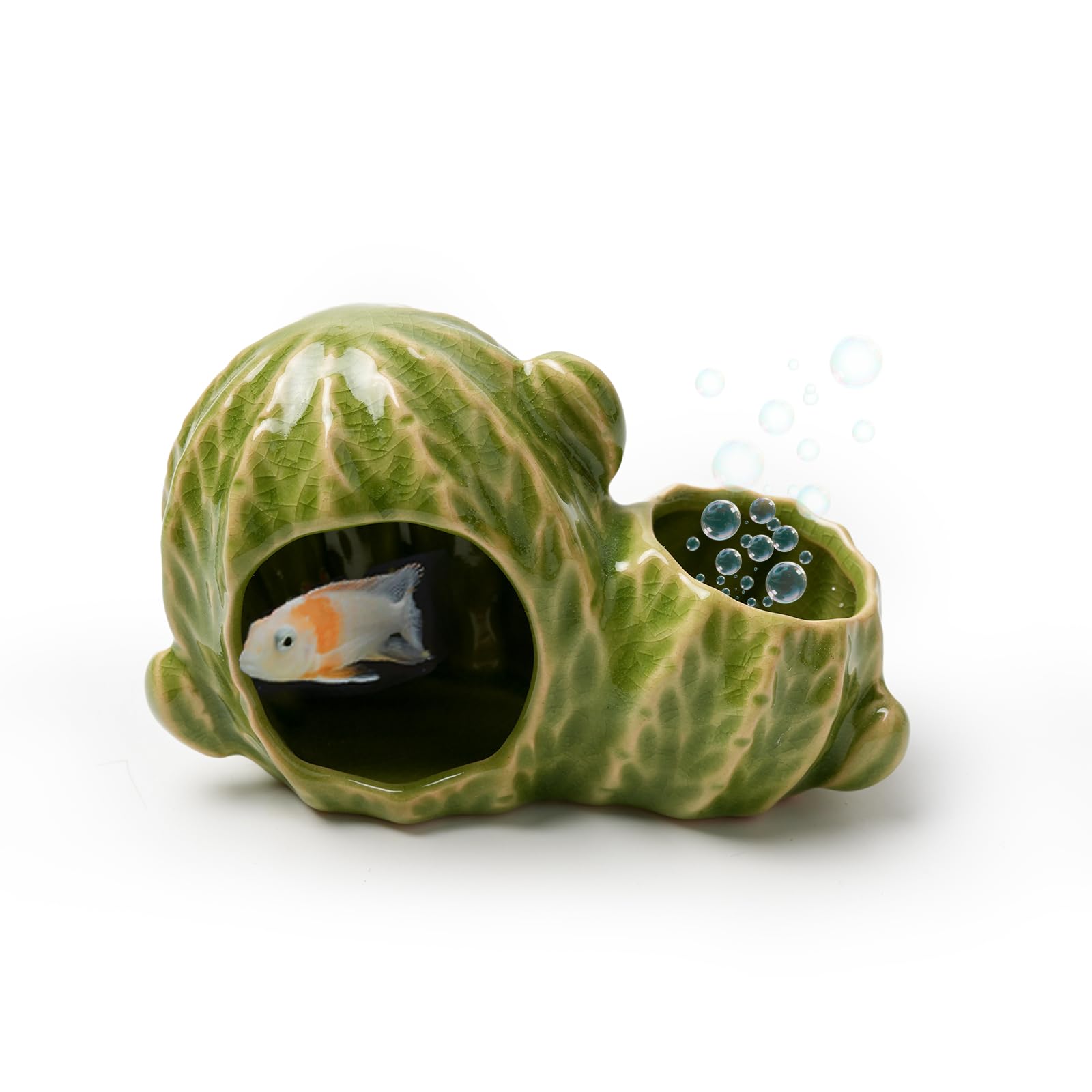 Deapeey cactus vert intégré dans aquarium améliorant l'ambiance naturelle