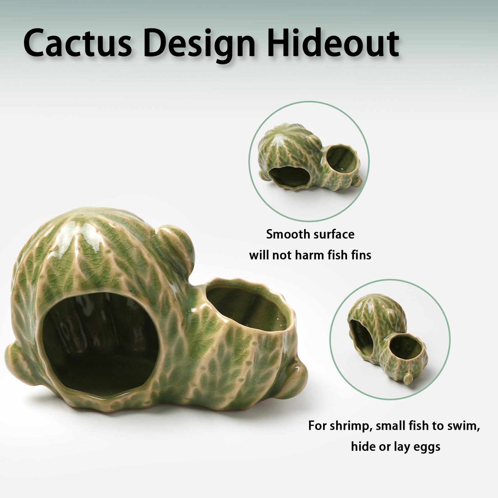 Deapeey cactus vert gros plan texture fissurée offrant réalisme sans danger
