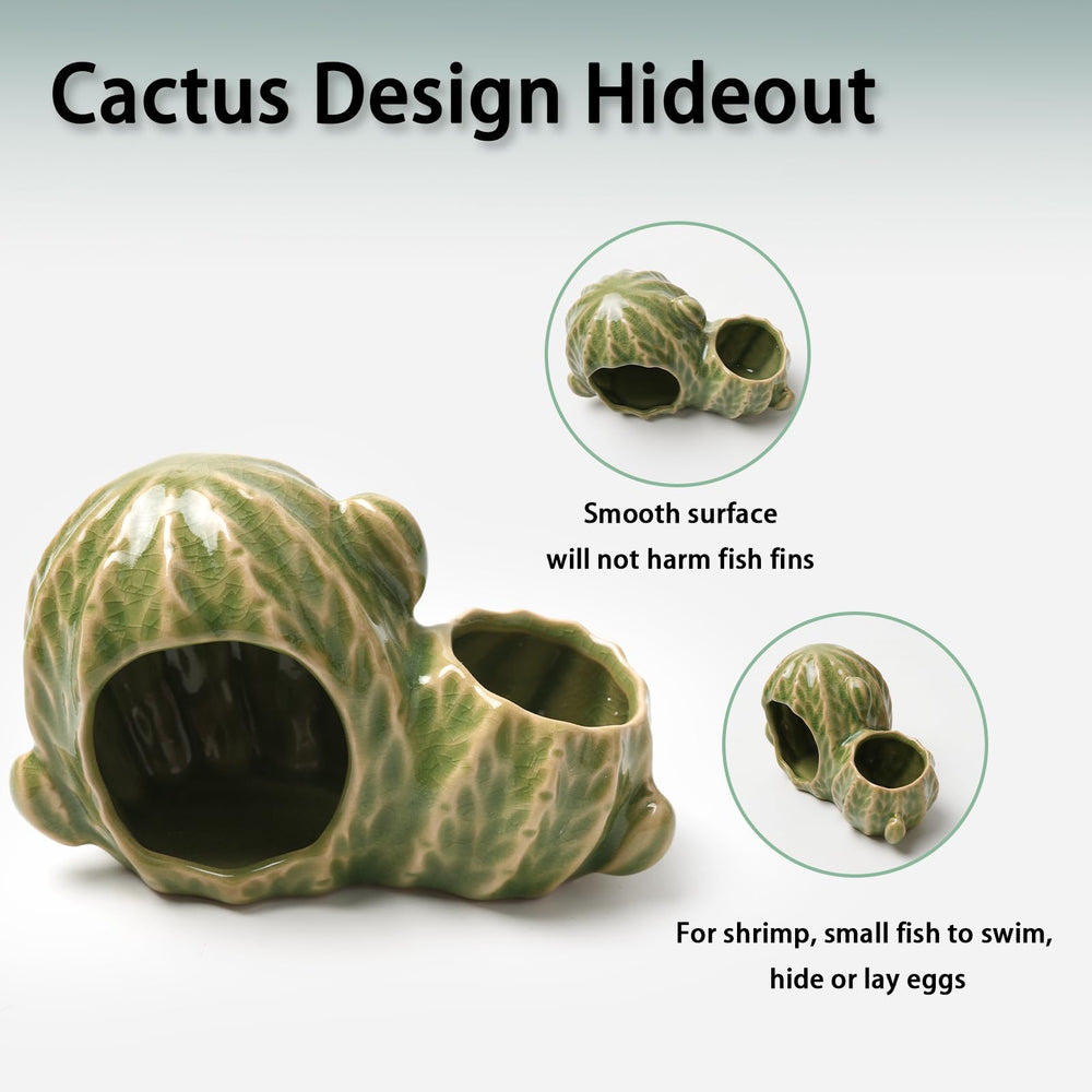 Deapeey cactus vert gros plan texture fissurée offrant réalisme sans danger