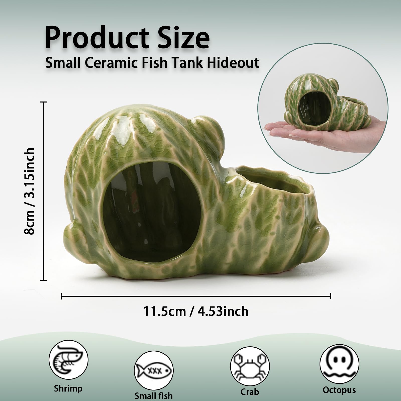 Deapeey cactus vert vue de profil illustrant stabilité et design compact