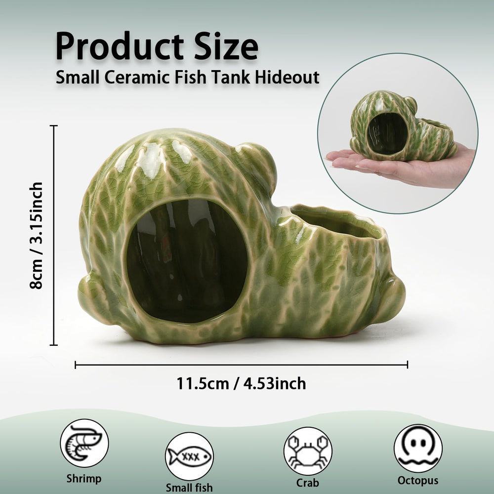 Deapeey cactus vert vue de profil illustrant stabilité et design compact