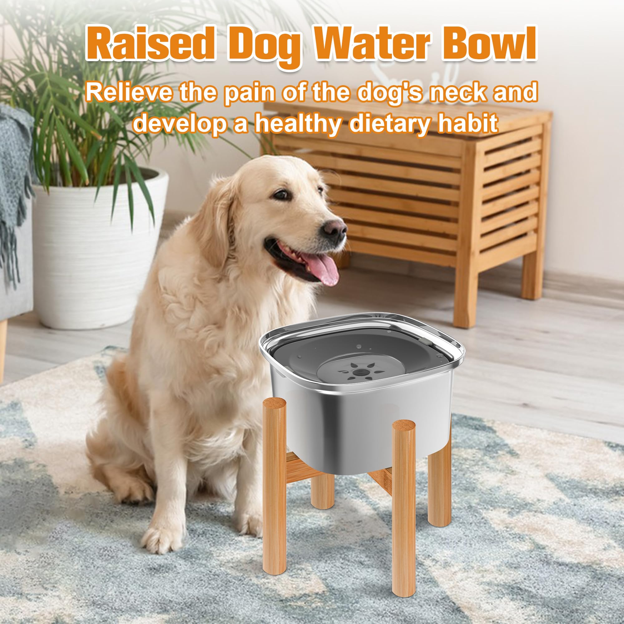 Decflow gamelle comparaison de taille pour évaluer capacité et adaptation au chien