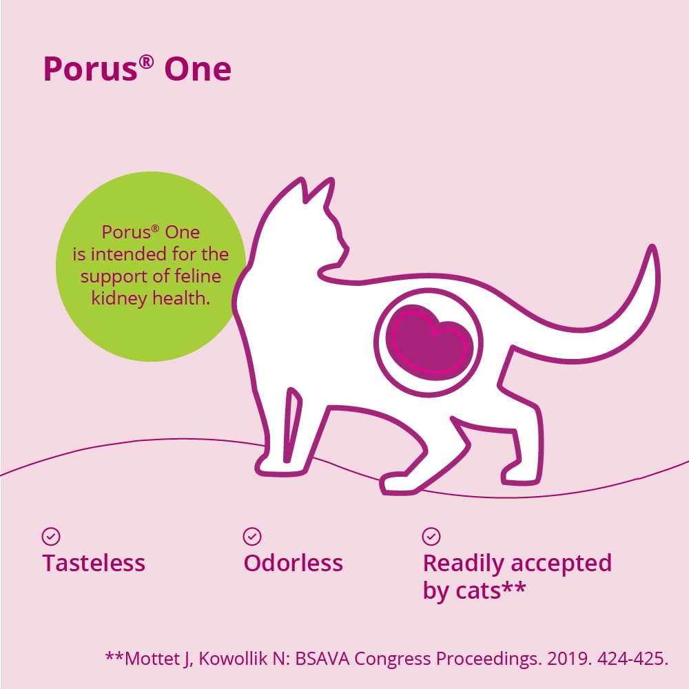 Dechra Porus One mélangé à la nourriture montrant acceptation par le chat