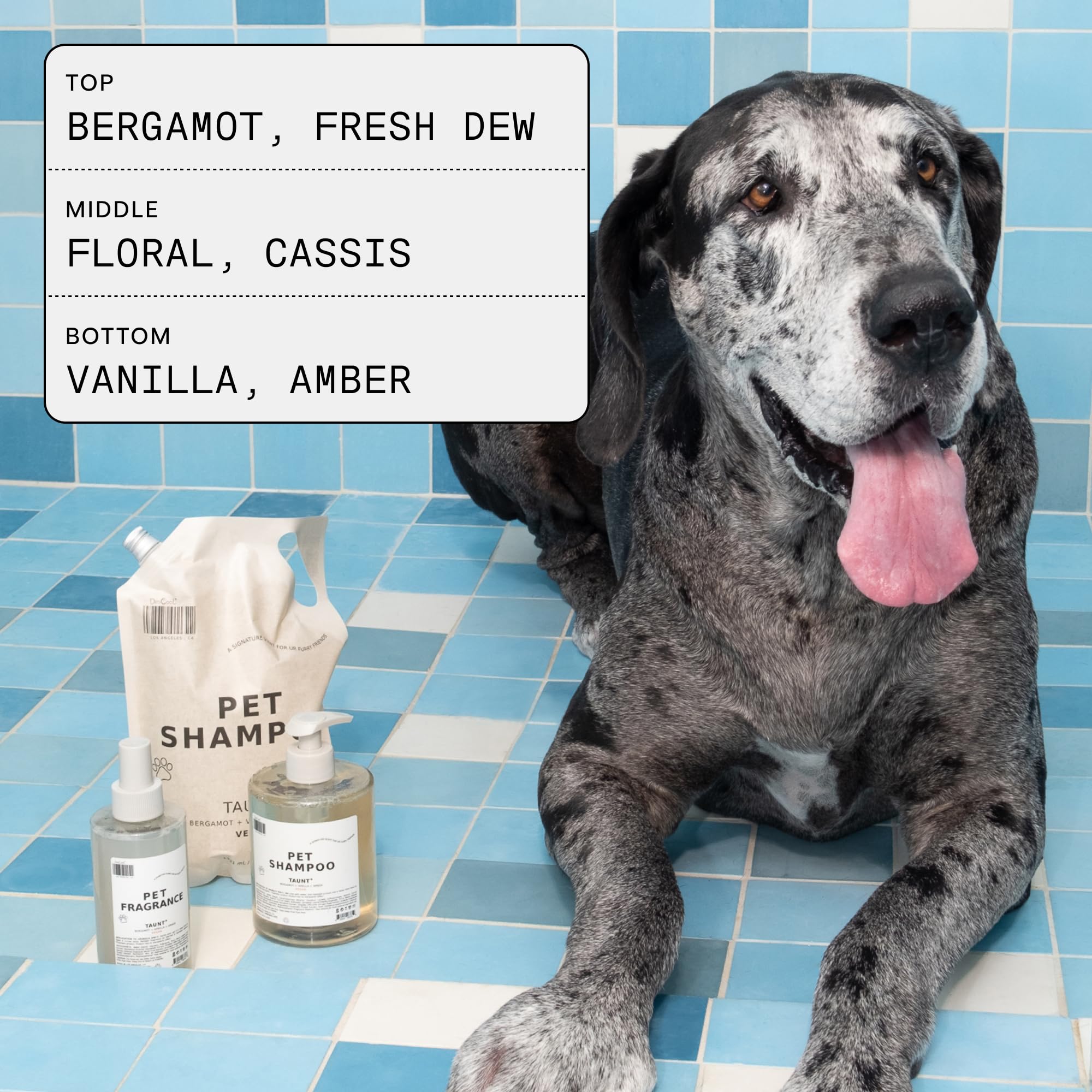DedCool chien en bain démontrant utilisation pratique et confort