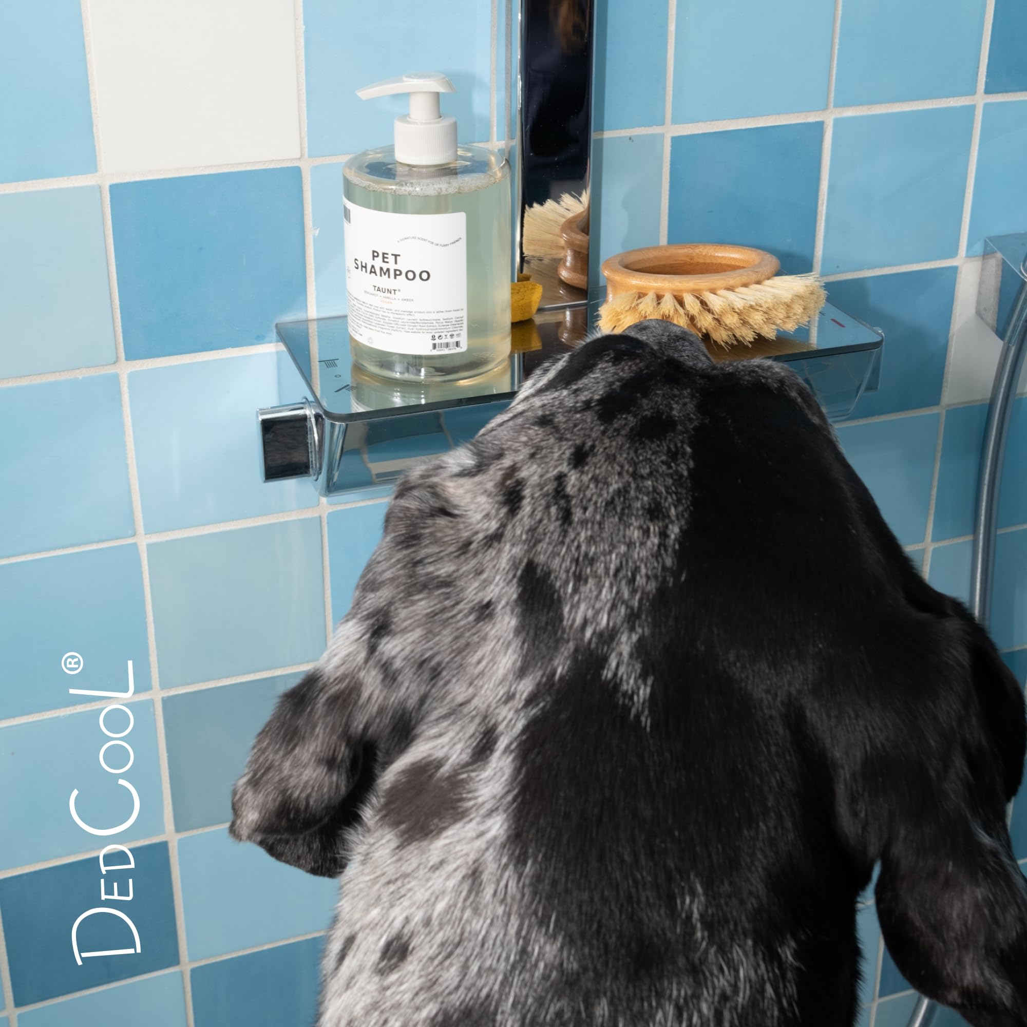 DedCool en scène salle de bain montrant soin quotidien et style moderne