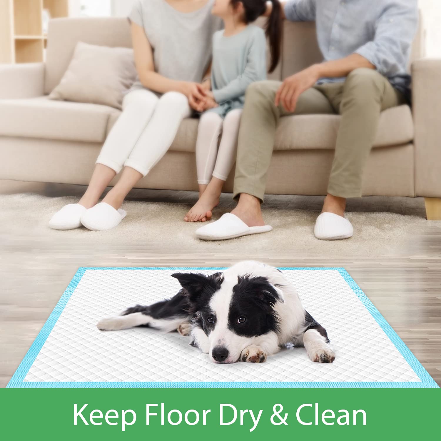 Deep Dear plusieurs chiens utilisant le tapis pour entrainement efficace