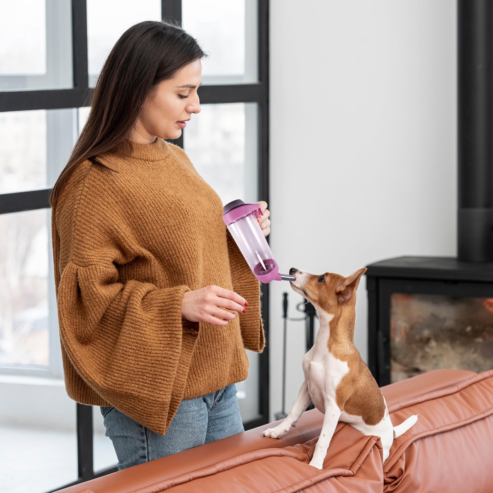 DEEUCHIS en contexte voyage dans voiture apaisant et pratique pour animal