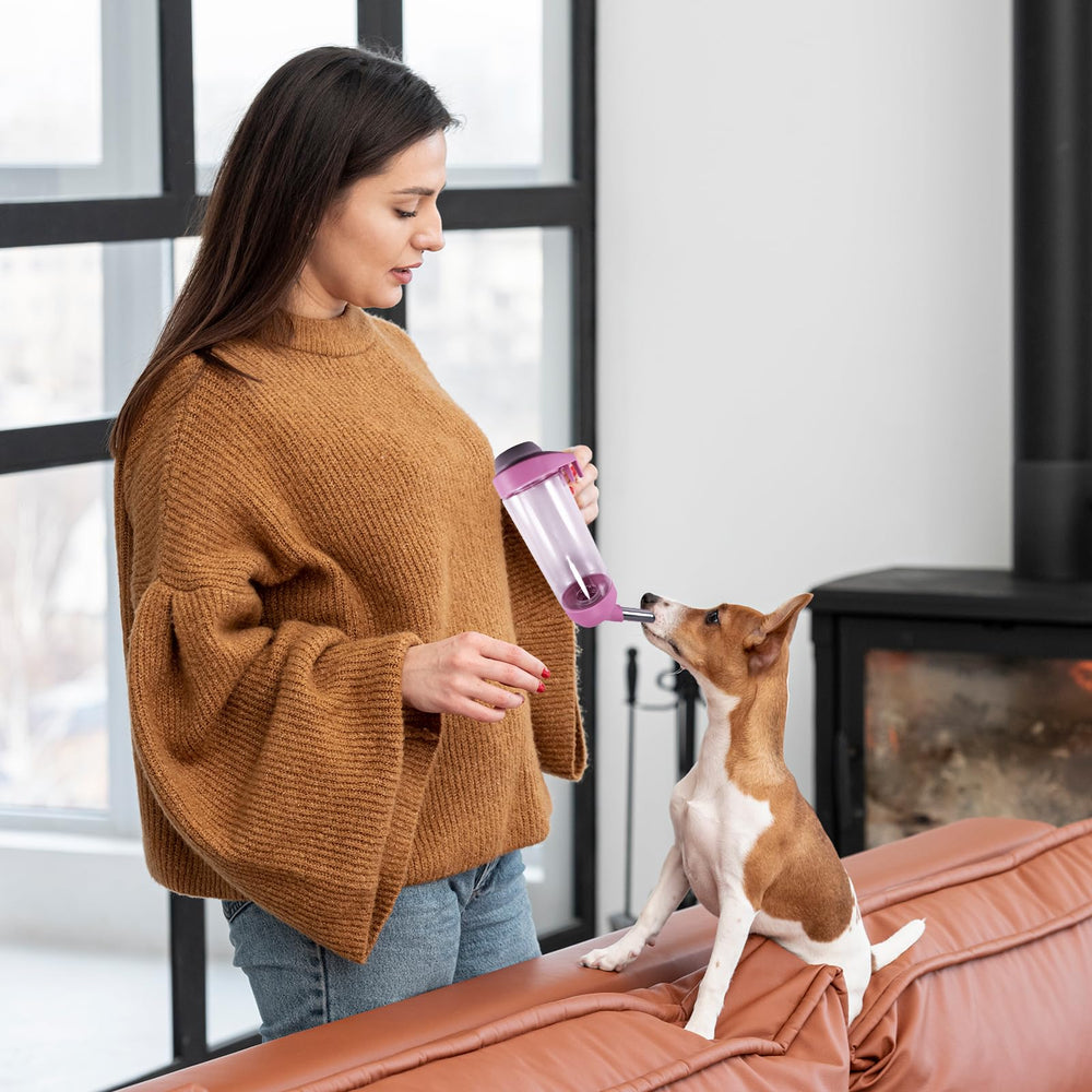 DEEUCHIS en contexte voyage dans voiture apaisant et pratique pour animal
