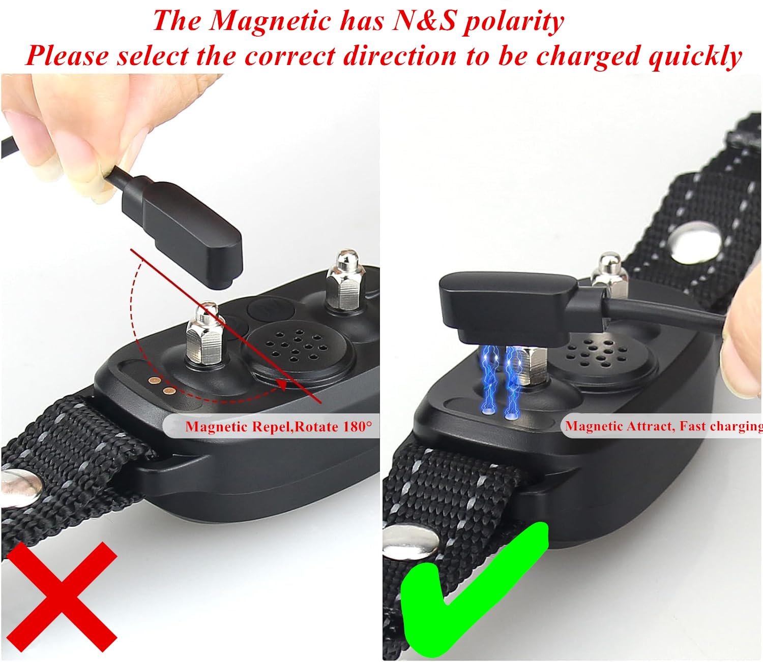 Defydayer en charge sur collier FAFAFROG S1 illustrant compatibilité sûre
