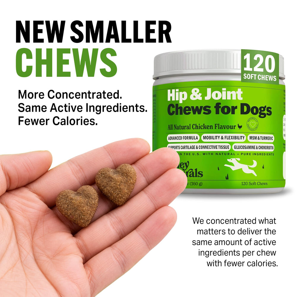 Deley Naturals chien en promenade actif illustrant soutien mobilité