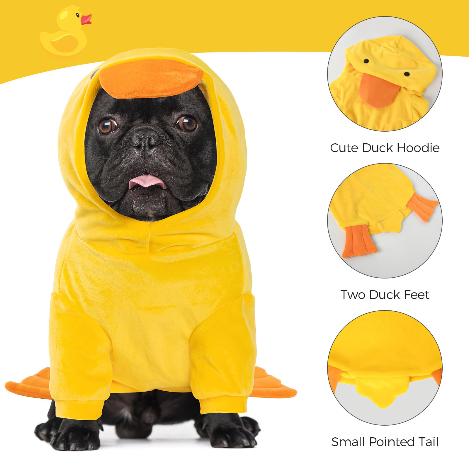 DELIFUR chien portant costume canard lors d'une fête pour photos amusantes
