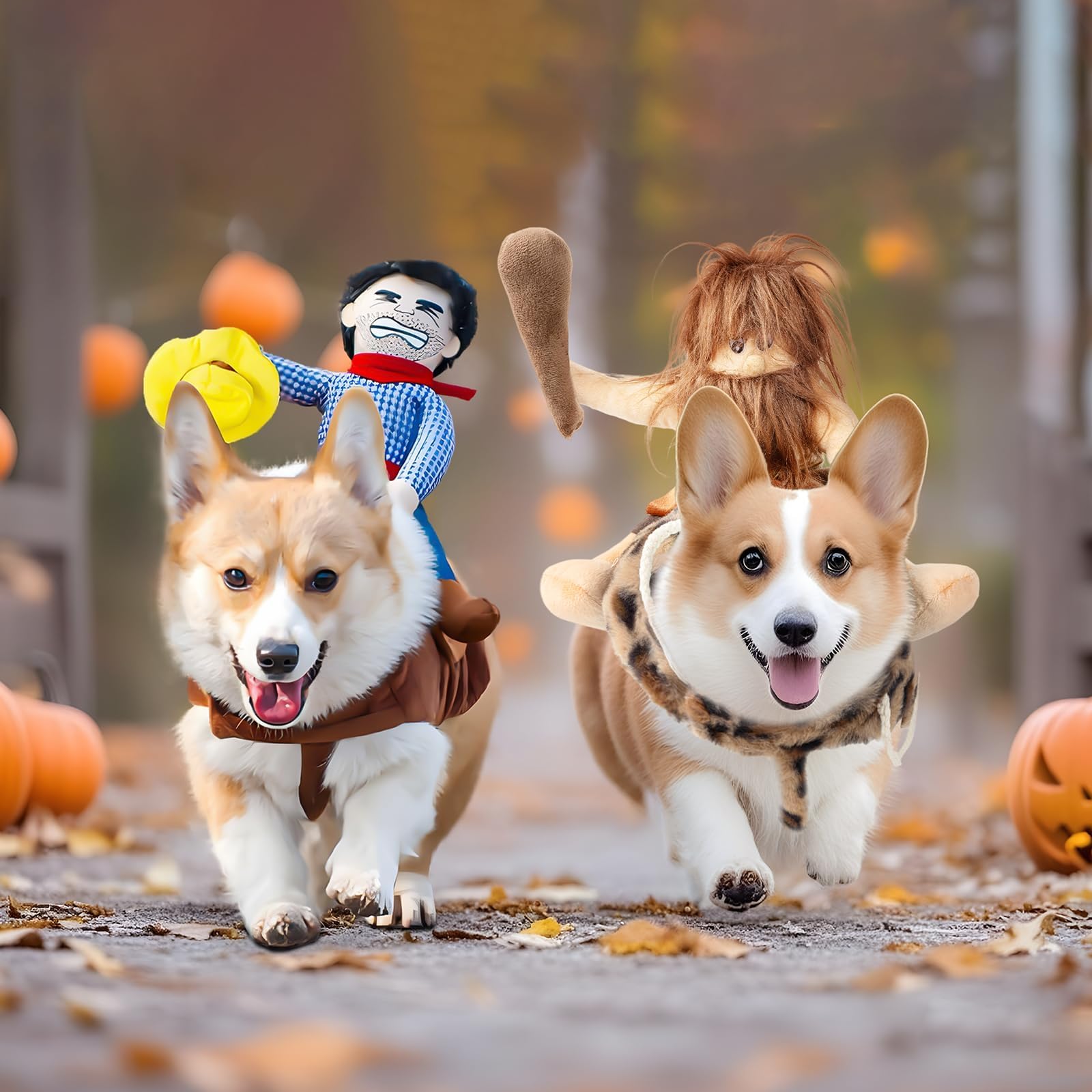 DELIFUR ambiance fête Halloween montrant le costume attractif et photogénique