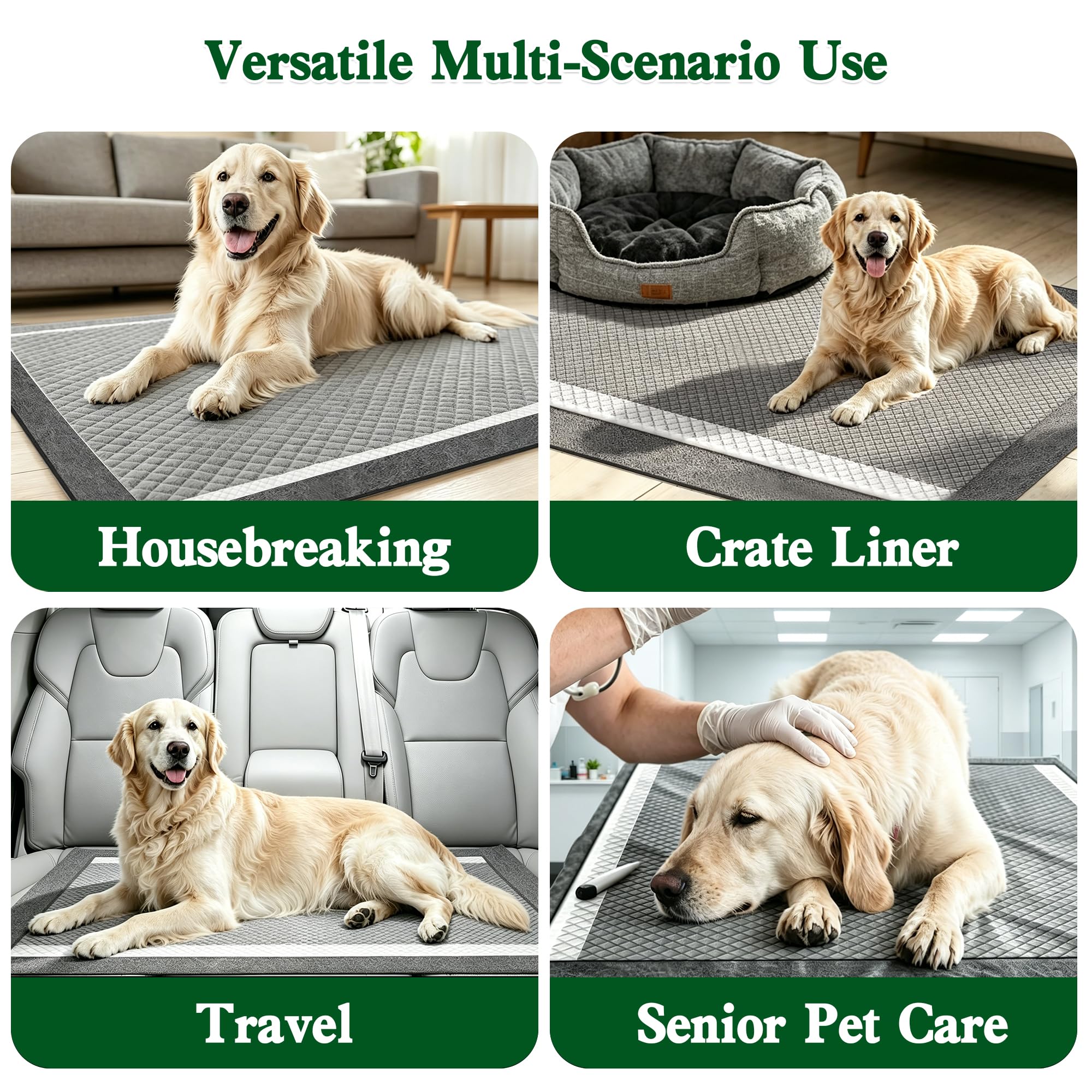 Dellion tapis à côté d'un mètre pour illustrer format 28x34 pouces pour grands chiens