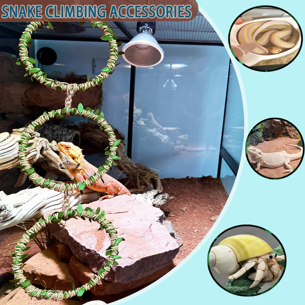 Delllala anneau intégré dans un décor de terrarium montrant usage réel et stimulation animale