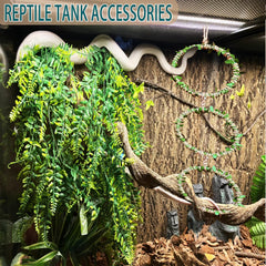 Delllala anneau suspendu dans un terrarium illustrant installation stable et gain d'espace