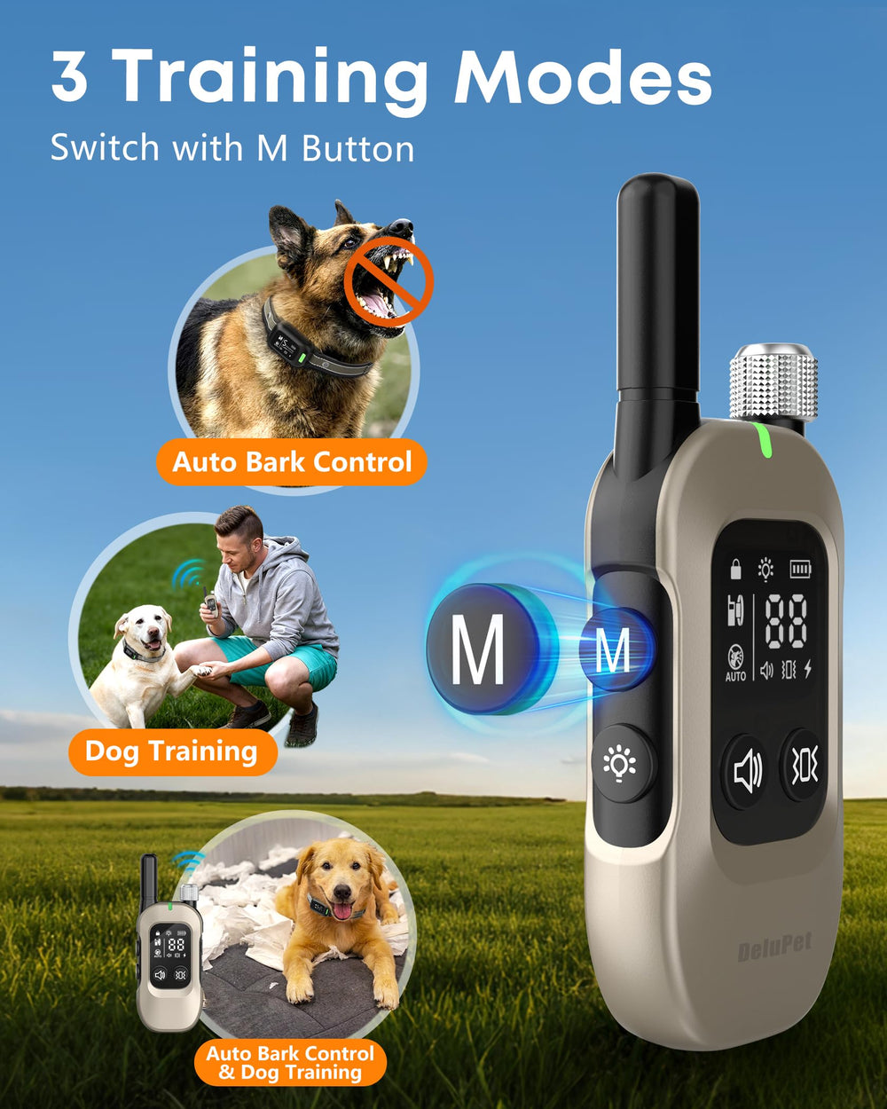 Delupet télécommande écran LED offrant contrôle clair et rapidité