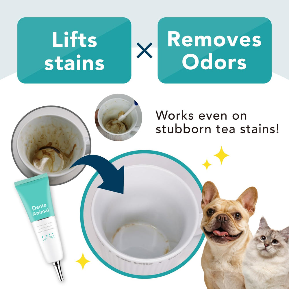 DentaAnimal application au doigt sur les dents, facilite hygiène sans stress