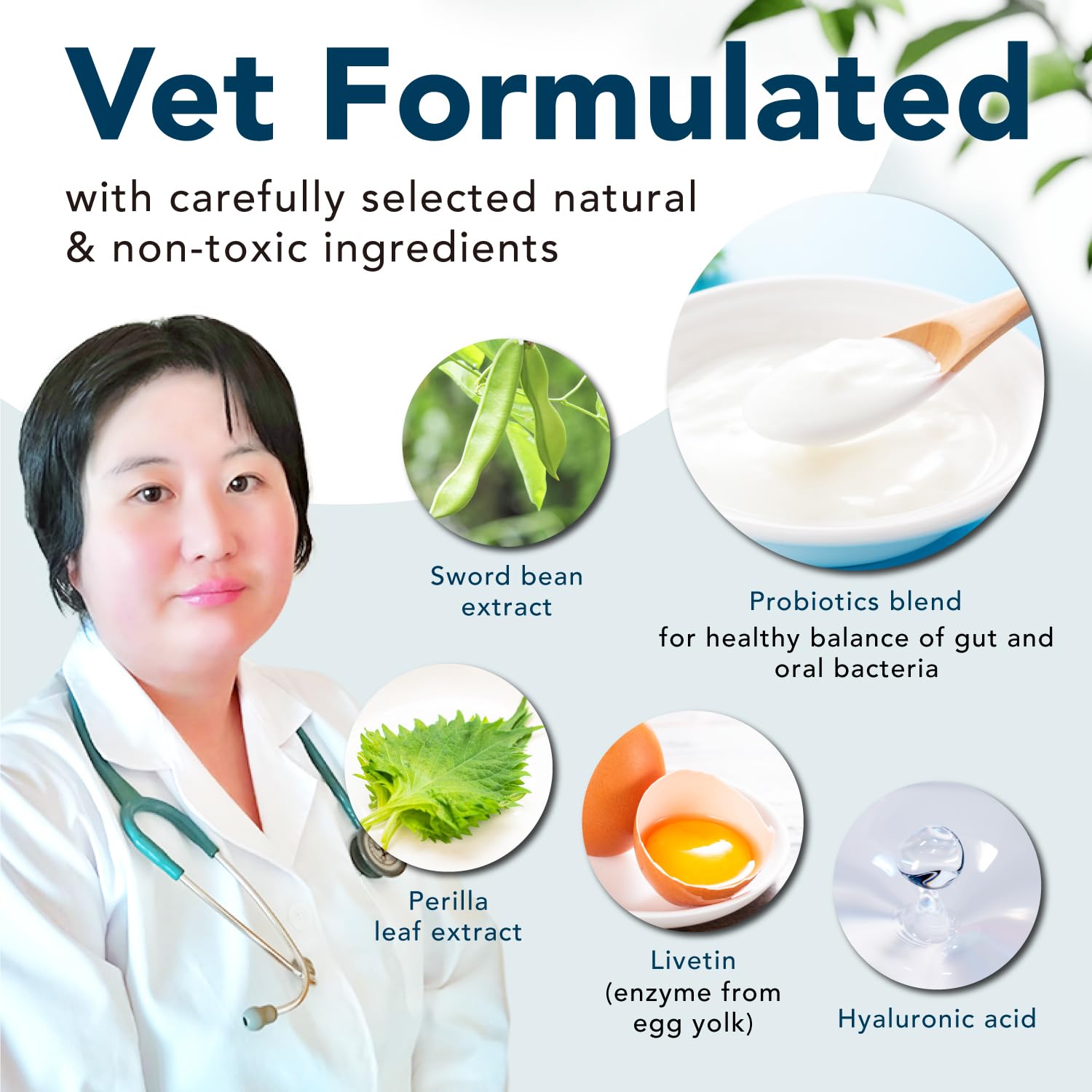 DentaAnimal comparaison de dosage montrant quantité pour grand chien utile