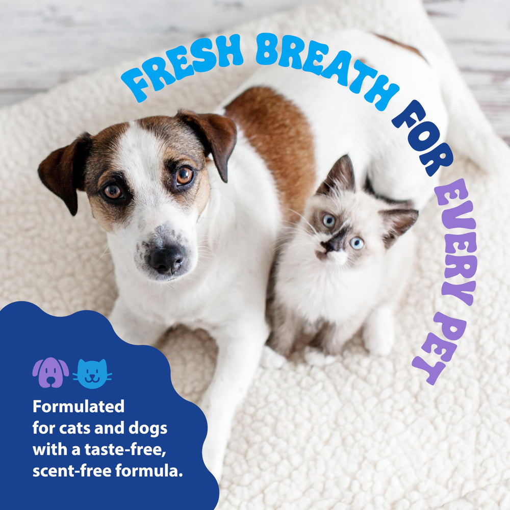 Dental Fresh chat buvant, solution discrète adaptée aux chats