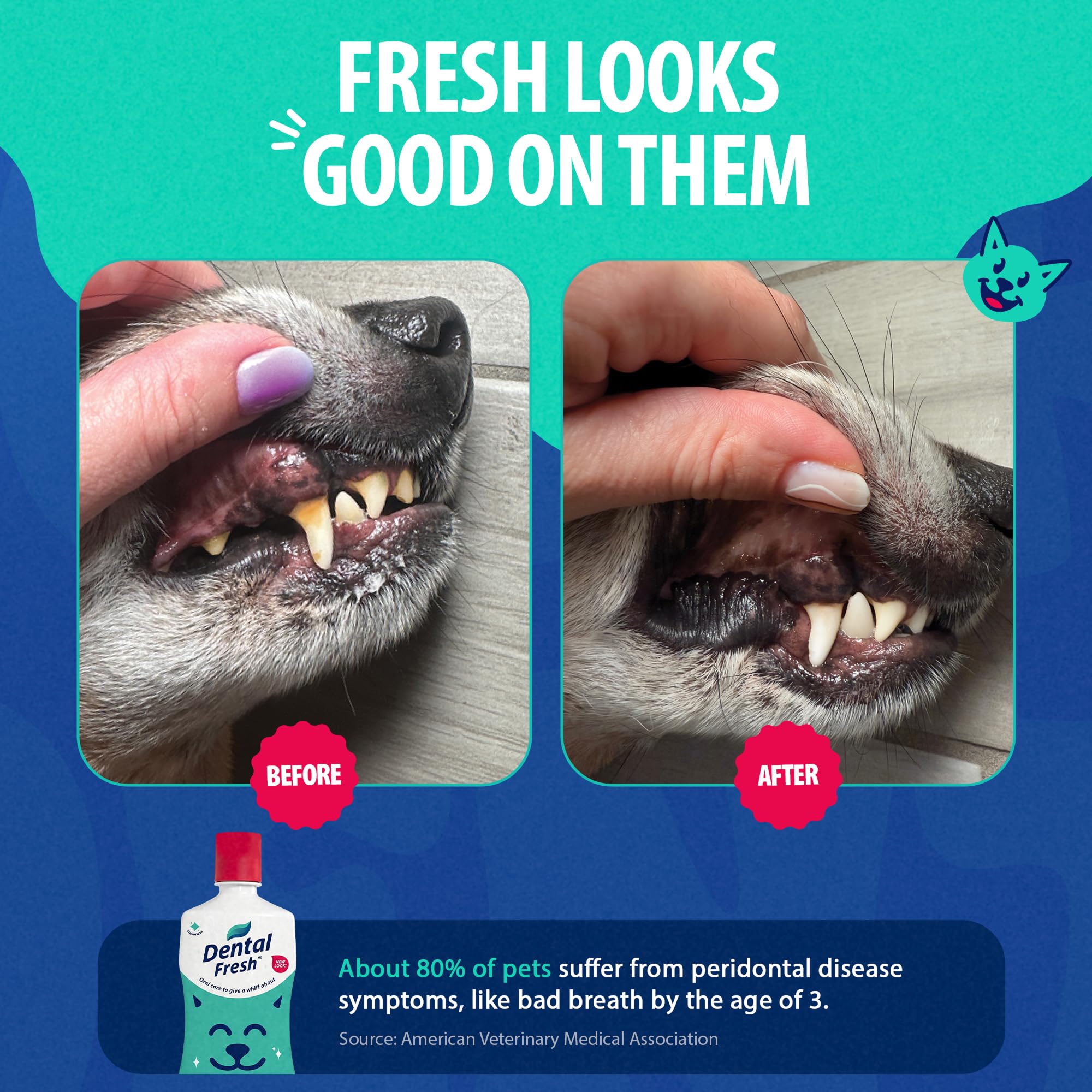 Chien buvant eau traitée avec Dental Fresh montrant haleine plus fraîche quotidienne