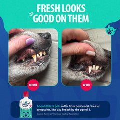 Chien buvant eau traitée avec Dental Fresh montrant haleine plus fraîche quotidienne