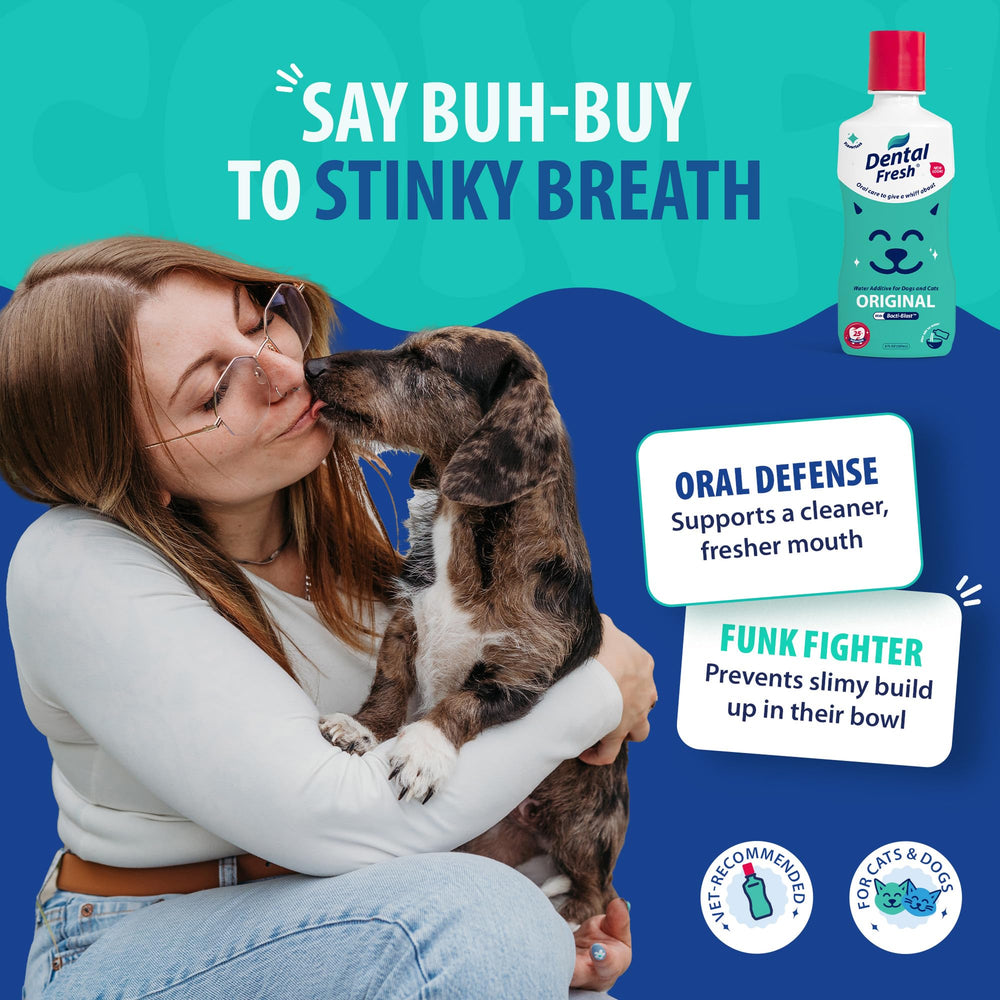 Vue de l'étiquette Dental Fresh mettant en avant formulation sans alcool ni sucre