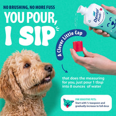Dental Fresh additif dans une gamelle montrant facilité d'utilisation et hydratation