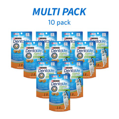 Purina DentaLife friandise tenue en main pour montrer taille et croquant