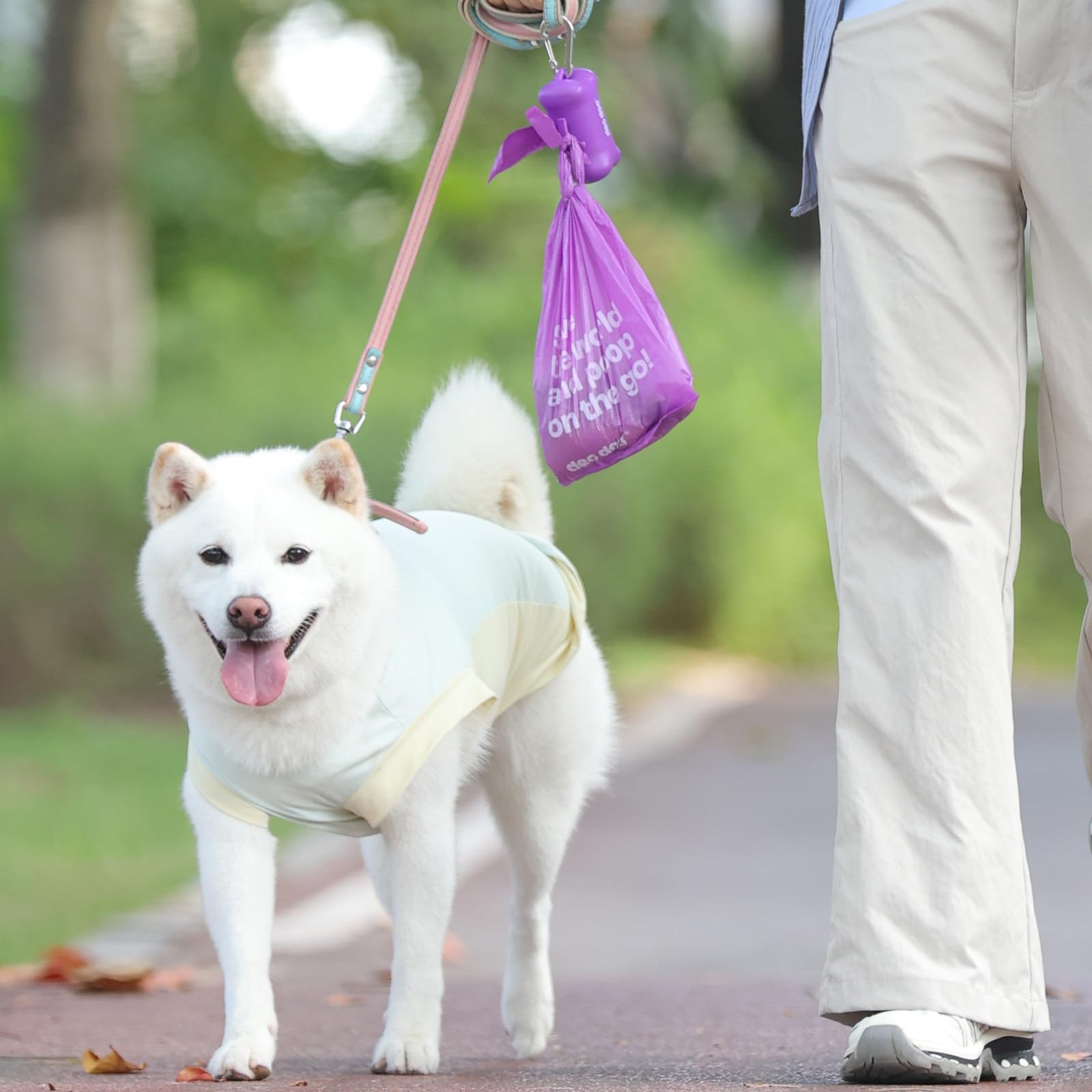 Deo Doo sac à côté d’un petit chien montrant échelle utile