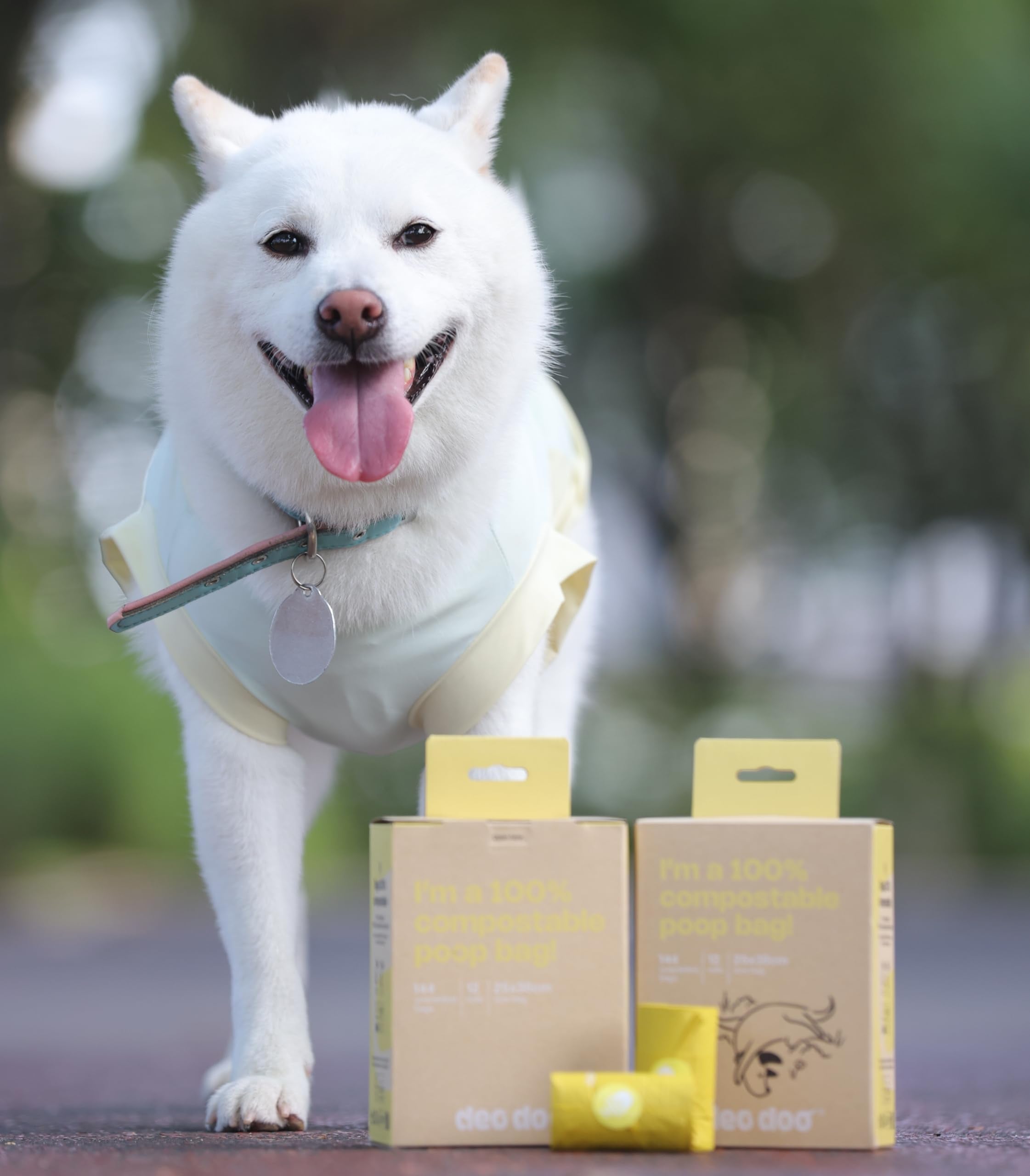 Deo Doo comparaison de taille d'un sac, illustre capacité pour petits et grands chiens