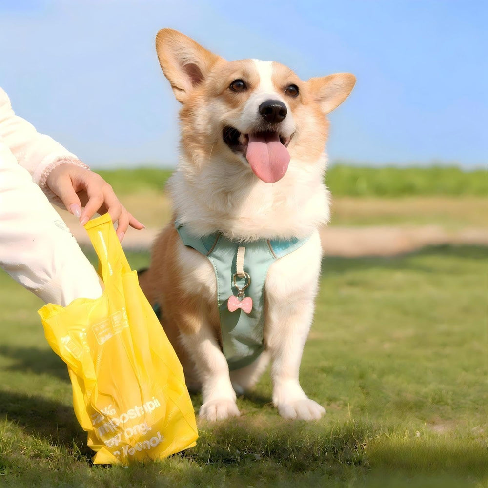 Deo Doo sac en usage lors d'une promenade, solution propre et responsable