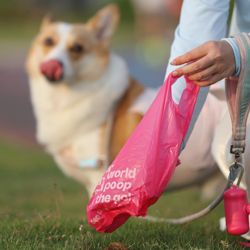 Deo Doo sac en usage lors d'une promenade pour collecte sans contact