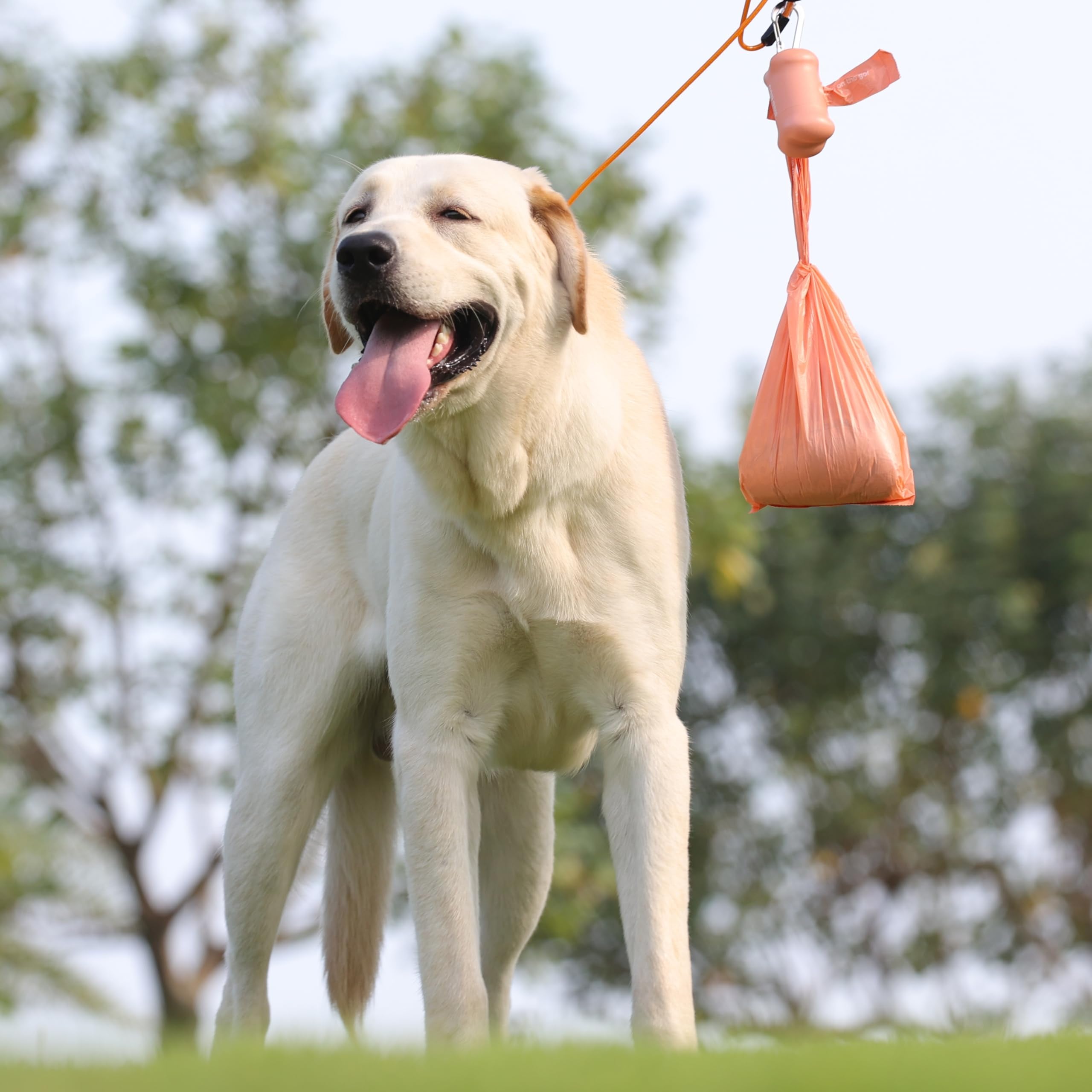 Deo Doo sac en usage lors d’une promenade pour ramassage propre