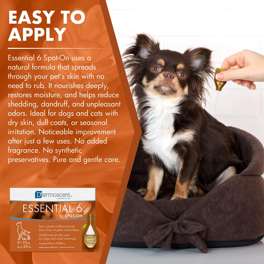 Dermoscent application sur dos du chien pour soulager démangeaisons