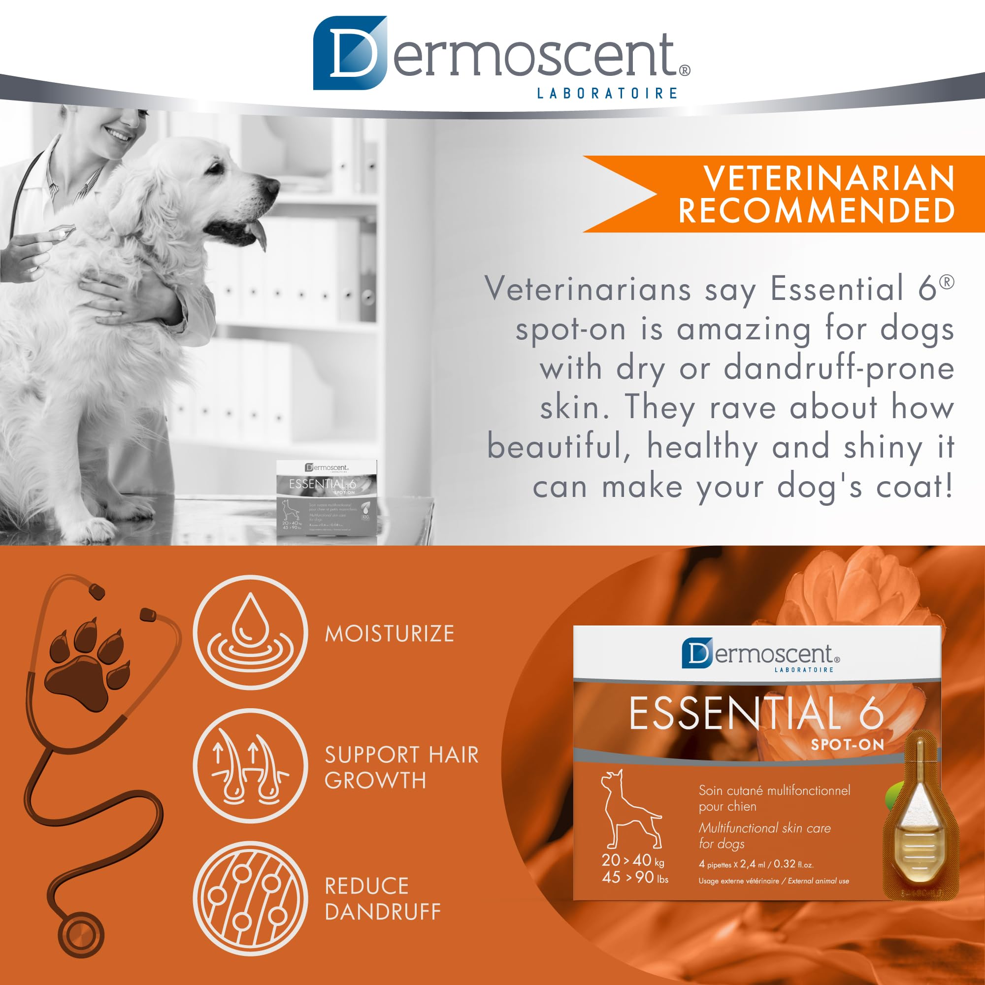 Dermoscent chien relaxe après application montrant apaisement visible