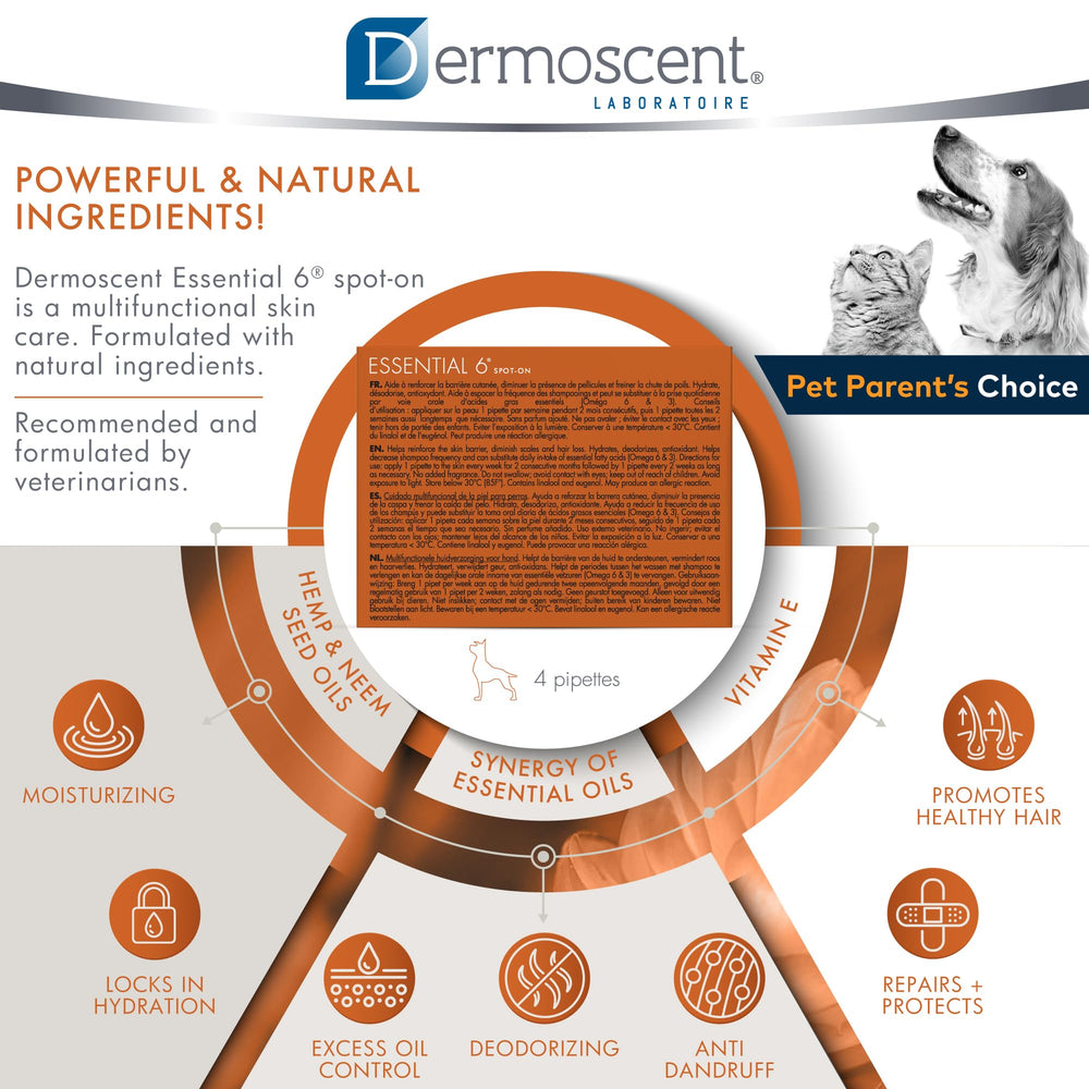 Dermoscent pipette taille échelle démontrant quantité adaptée 2,4 ml