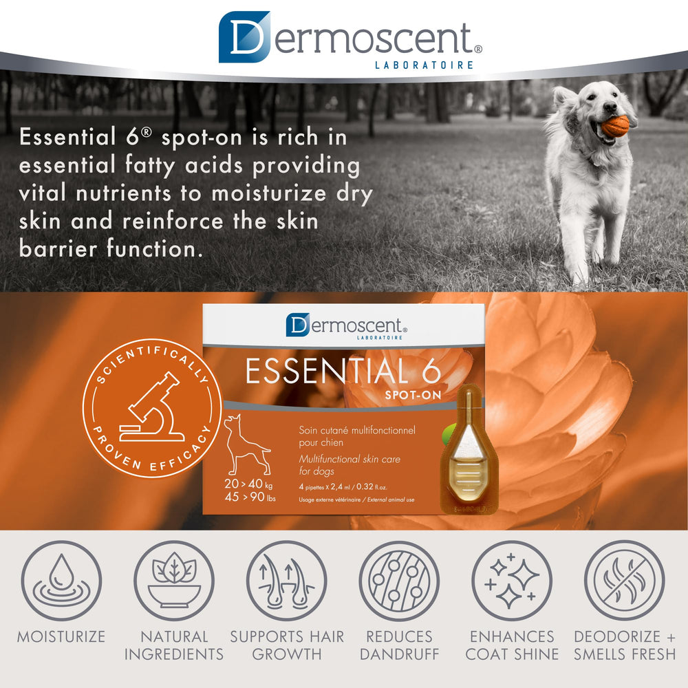 Dermoscent vétérinaire dermatologue conseillant usage sûr et efficace