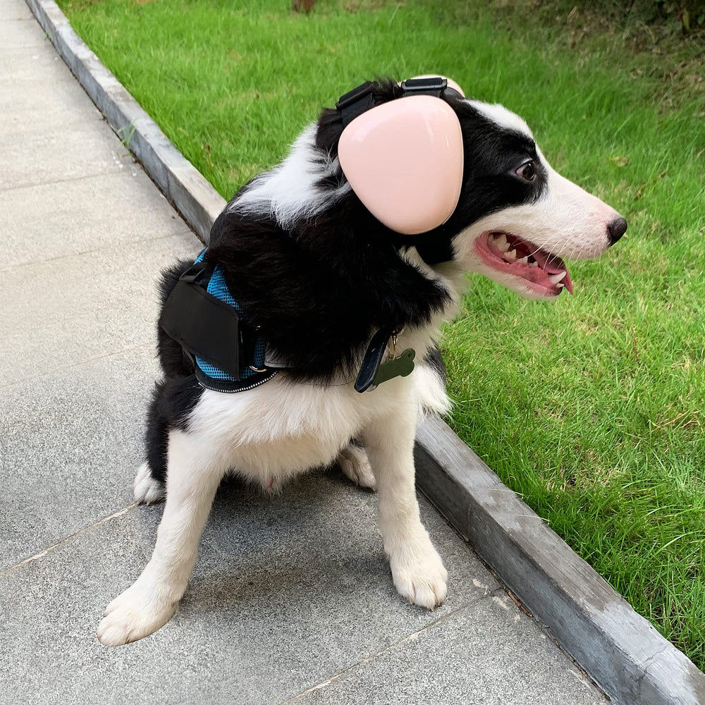 derYEP casque porté par petit chien réduit stress sonore