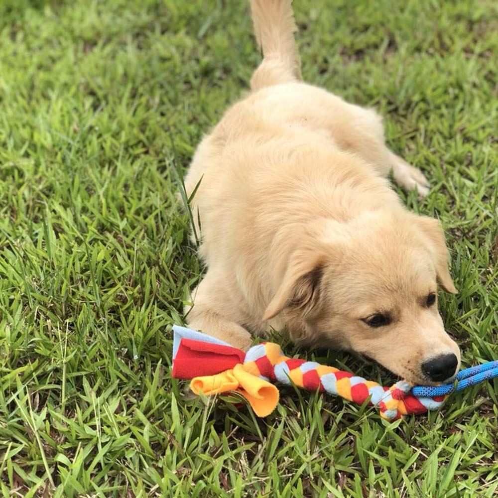 Dewonch chien tirant la corde en polaire pour jeu interactif actif