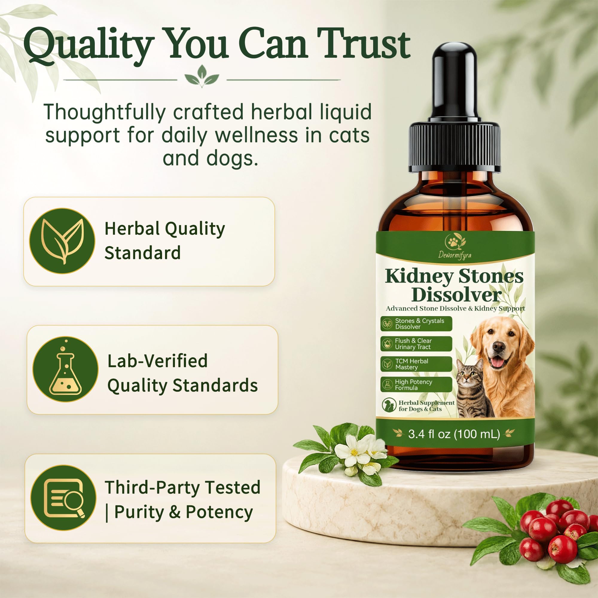 Dewormifyra en situation salon montre produit utilisé chez un chien pour bien-être urinaire
